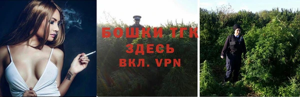 спайс Арсеньев