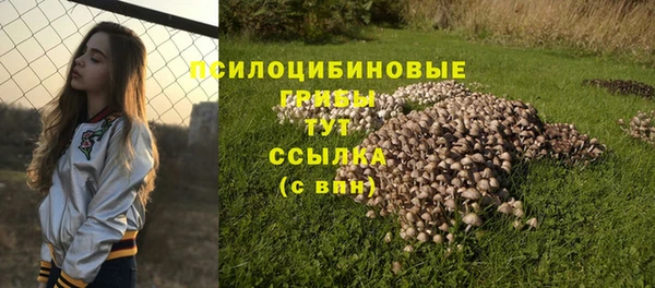 спайс Арсеньев