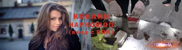 спайс Арсеньев