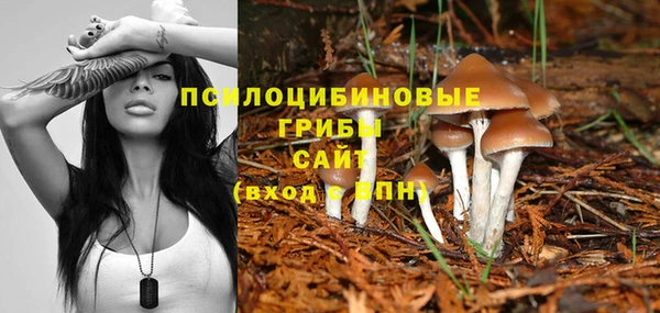 марки nbome Аркадак