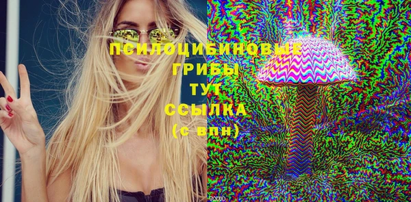спайс Арсеньев